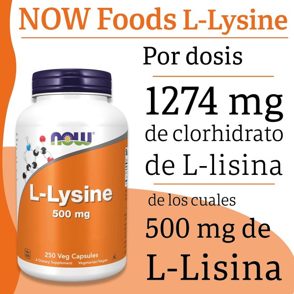 Now Foods, L-Lisina, Doble Fuerza, 1.000mg, 100 Tabletas veganas, Probadas en Laboratorio, Aminoácido, Sin Gluten, Sin Soya, Vegetariano Embalaje Deteriorado on Sale