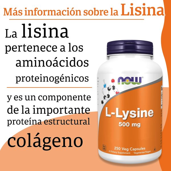 Now Foods, L-Lisina, Doble Fuerza, 1.000mg, 100 Tabletas veganas, Probadas en Laboratorio, Aminoácido, Sin Gluten, Sin Soya, Vegetariano Embalaje Deteriorado on Sale