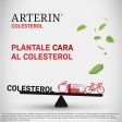 Arterin Colesterol Reduce el Colesterol - Nueva Formulación Clínicamente Probada para el Control del Colesterol - 30 Tabletas Discount