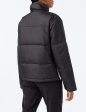 Chaqueta de Invierno adidas Short Puffer S Online